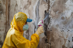 Mold Removal